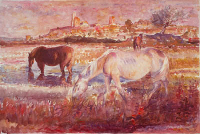 Il cavallo bianco/tuscania - acquerello - 1991